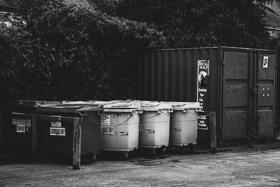 A green wheeled rubbish bin with a flat lid, positioned on a sidewalk near a storage rack containing various household items such as plastic containers, and located in an urban residential area. The b